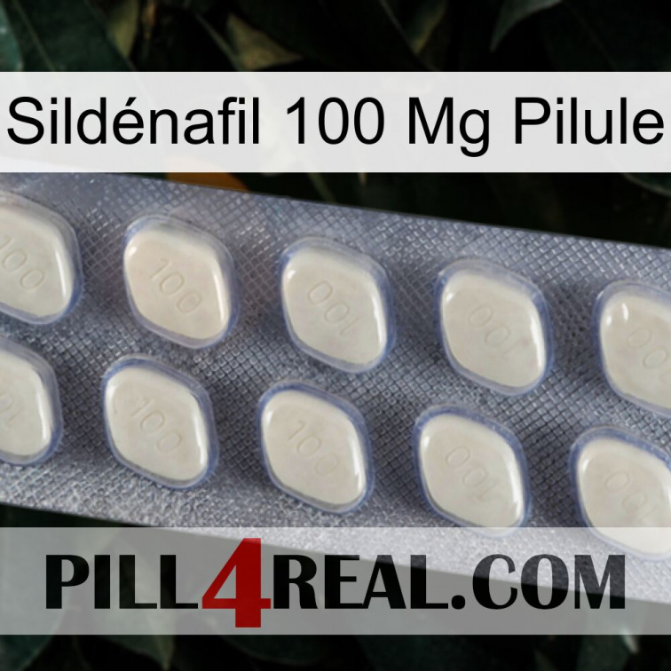 Sildénafil 100 Mg Pilule 08
